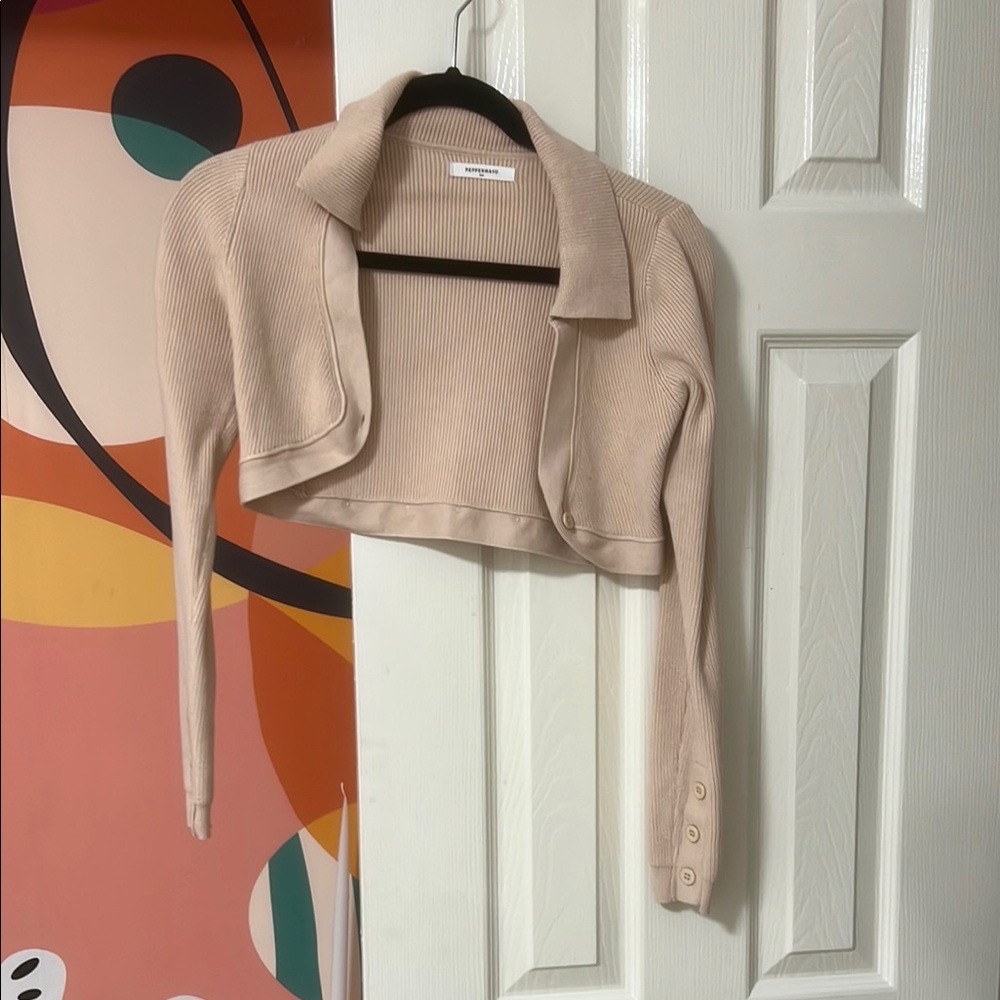 Women's Beige Cropped top and matching skirt set